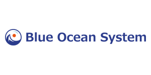 Blue Ocean System